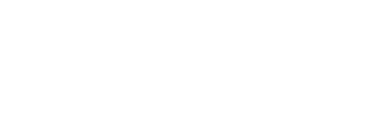 Maltek Cybersecurity Digital Shield